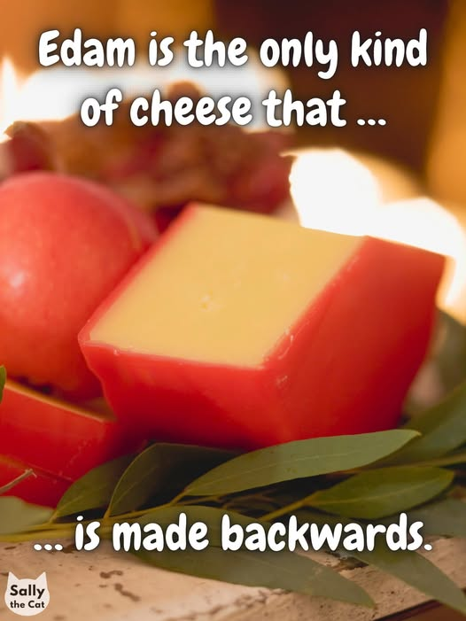 Hillbilly Highlander tweet media