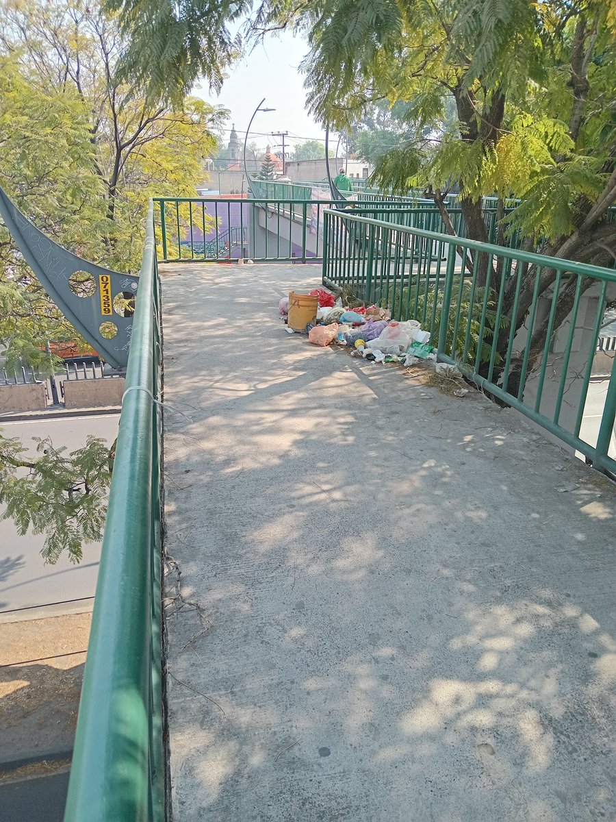 Mario A Fonseca (alfalfa) tweet media