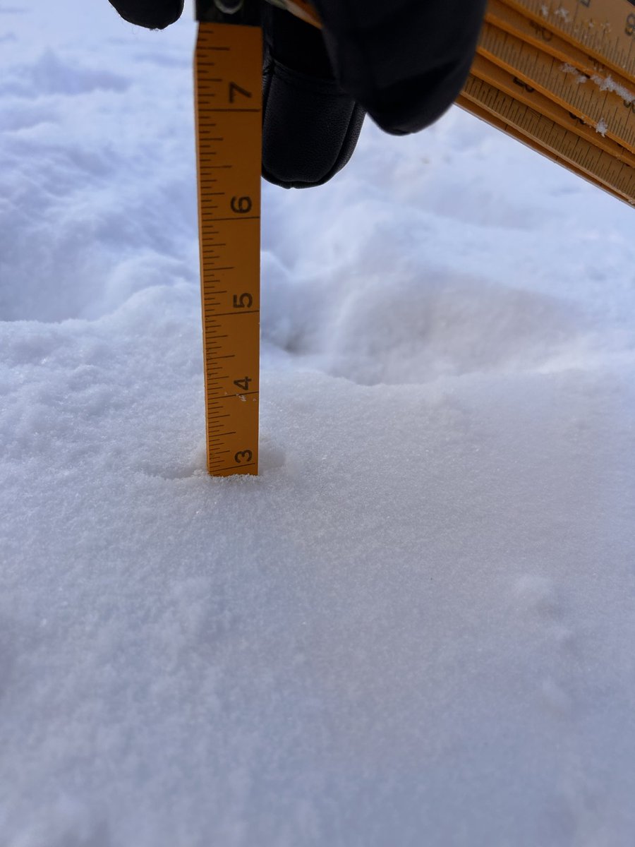 Steve Roth tweet media