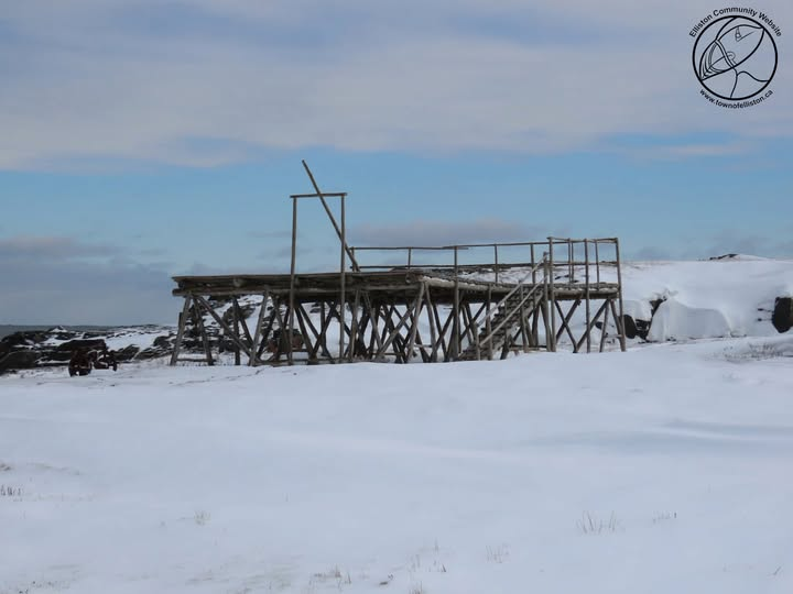 Town of Elliston tweet media