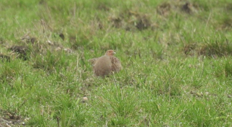 Phil Locker tweet media