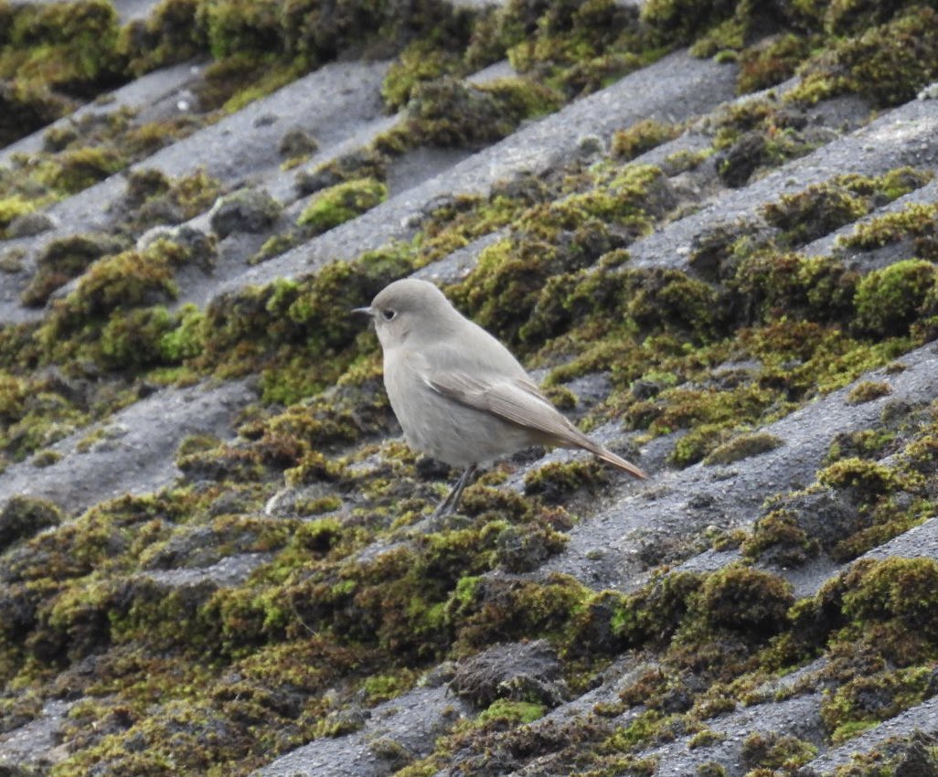 Phil Locker tweet media