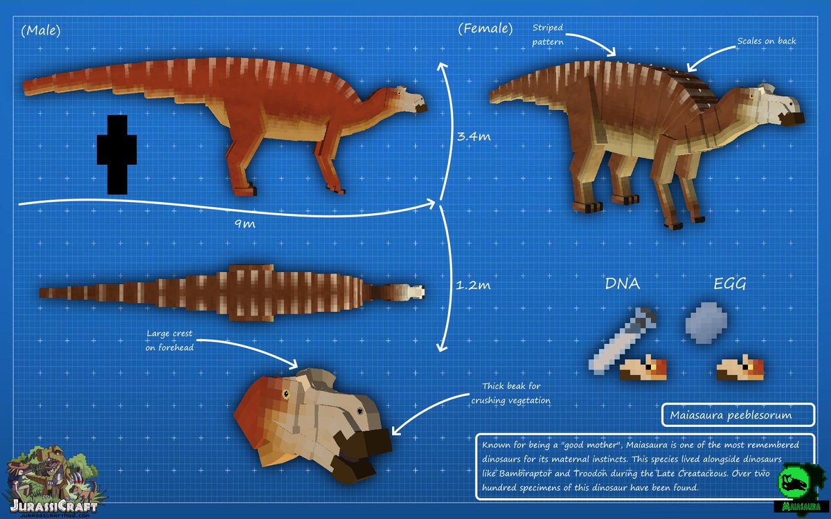 JurassiCraftMod's tweet photo. Introducing our February update, including the Maiasaura!  

Play with this new update by visiting our Patreon today! https://t.co/QvisA5wxYP https://t.co/xV4Mek68aG