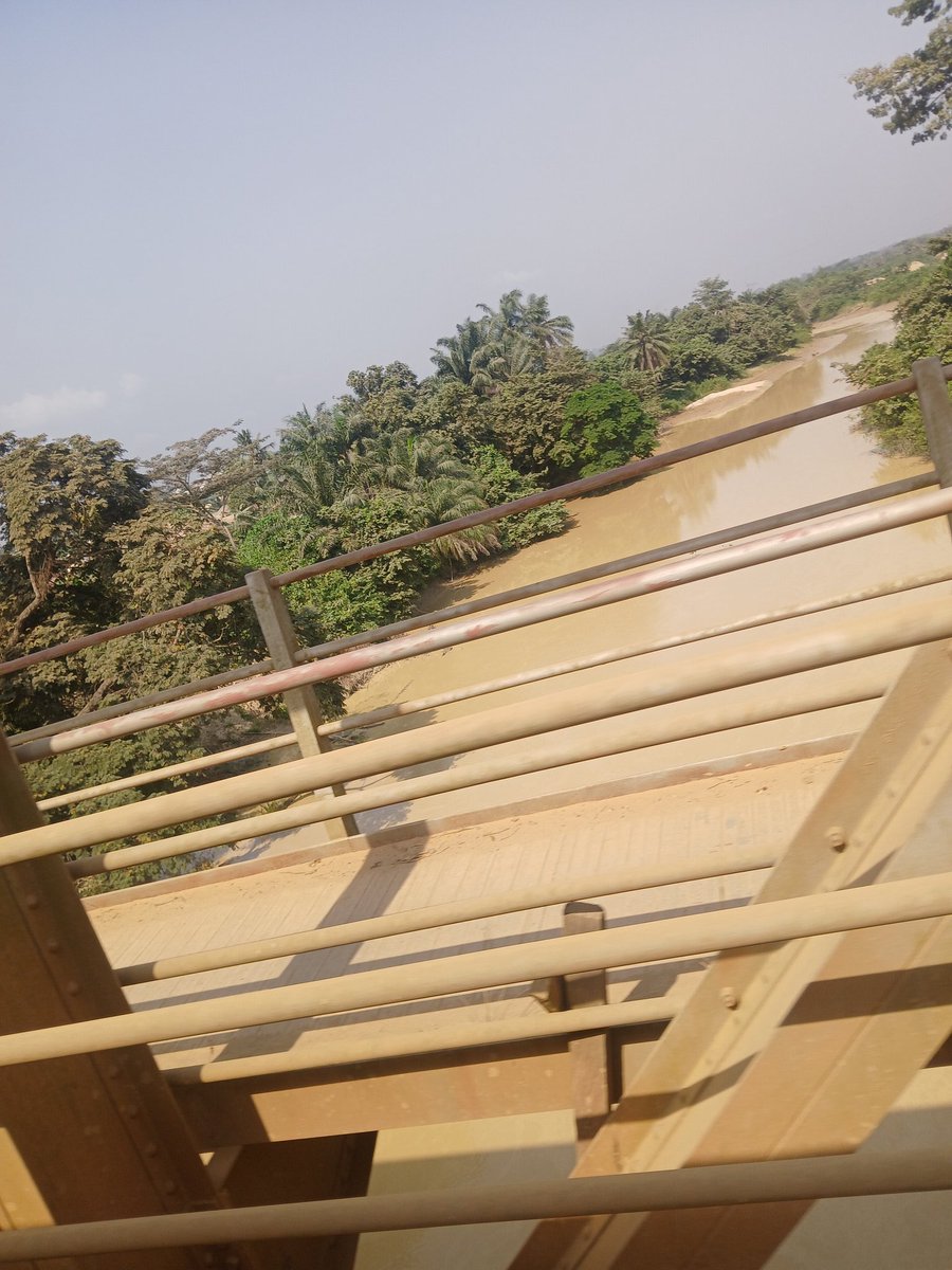 jUnE 28, TT𓃵 tweet media