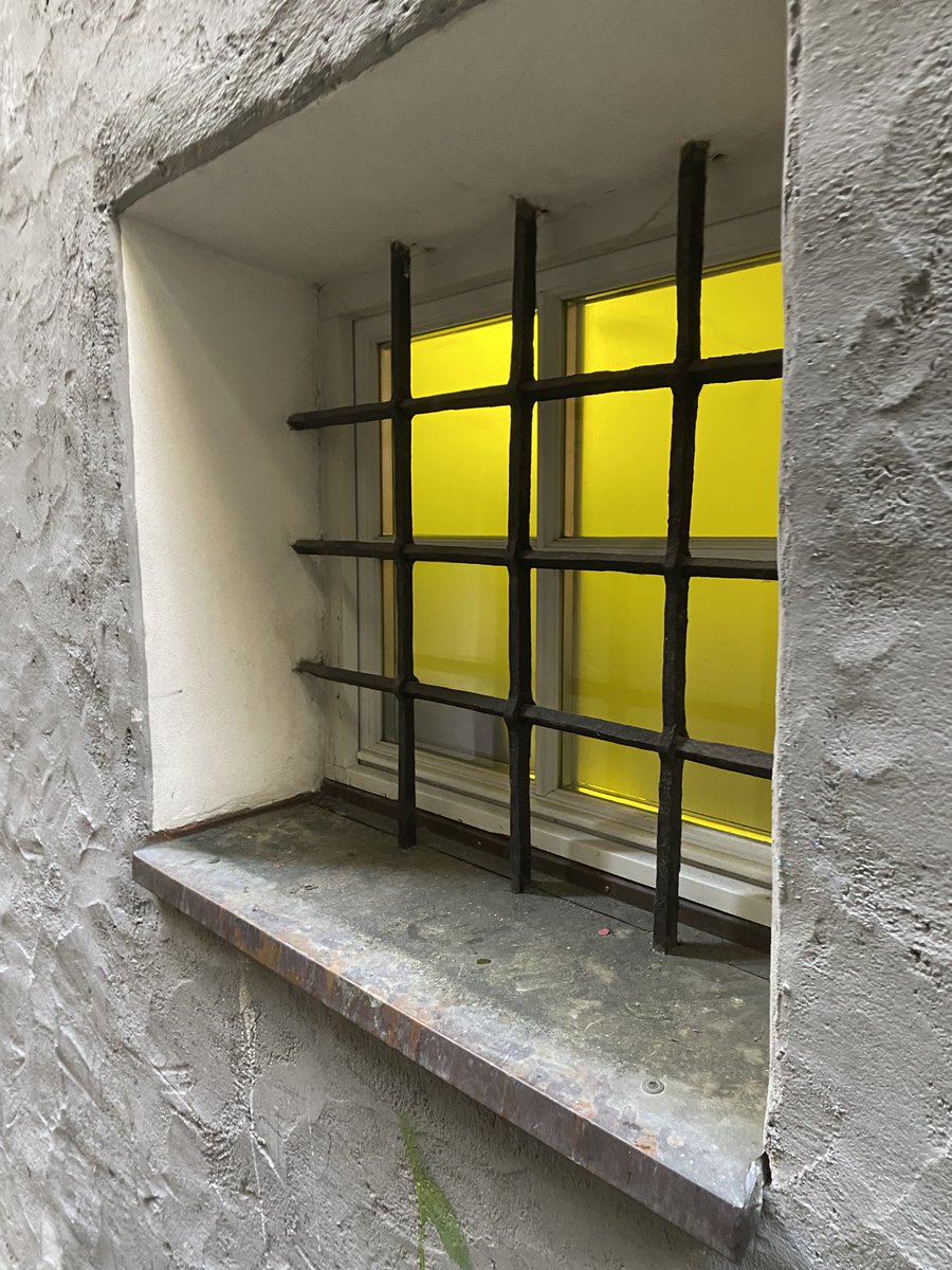 Sonia Zuccaro tweet media