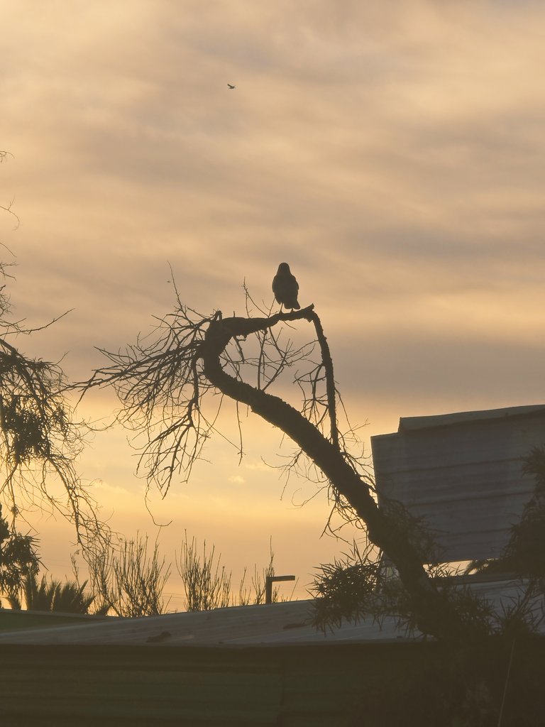 RuvalcabaAurora's tweet photo. #thephotohour #zenfolio #canon #500px #55mm #raw_allnature #naturephotography #natureza #sunset_pics #sunrise_sunset_photogroup #sunsetlover #sunsethunter #sunsetsky #orange_sky #magichour #sunsets_captures https://t.co/x0DqwKO8V9