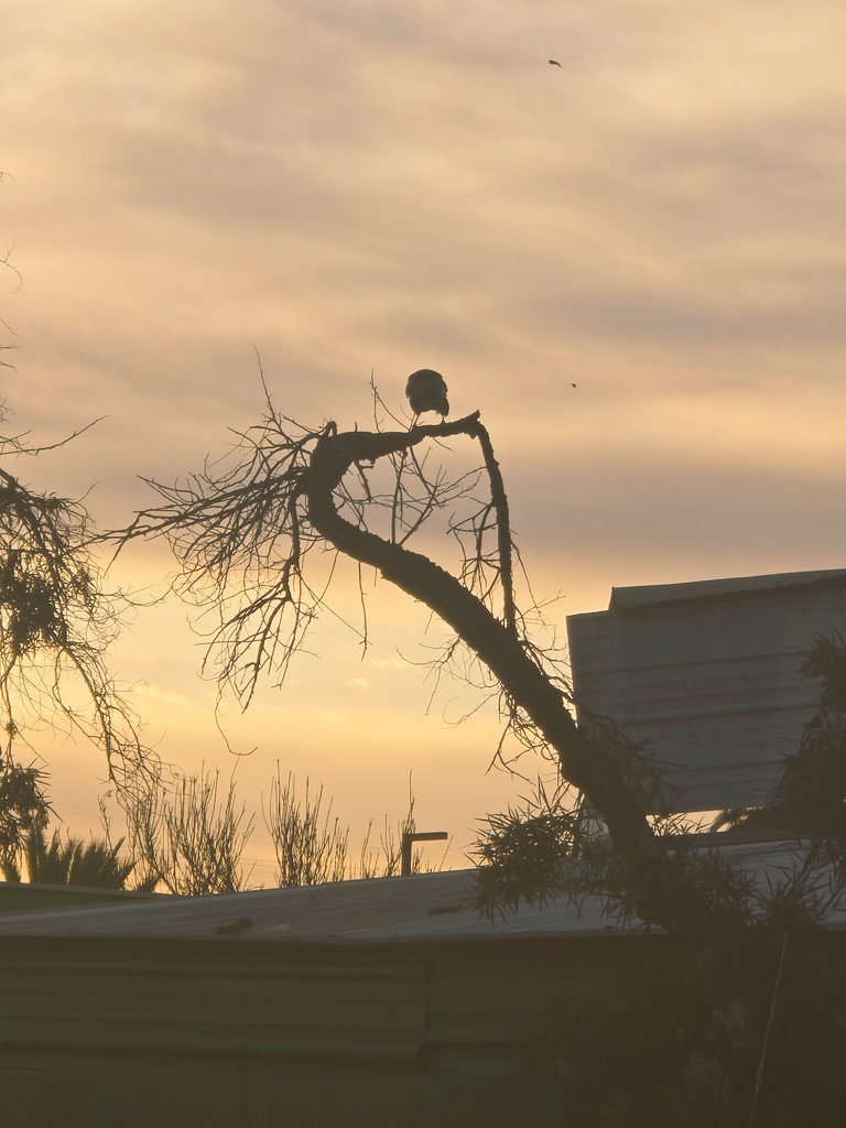 RuvalcabaAurora's tweet photo. #thephotohour #zenfolio #canon #500px #55mm #raw_allnature #naturephotography #natureza #sunset_pics #sunrise_sunset_photogroup #sunsetlover #sunsethunter #sunsetsky #orange_sky #magichour #sunsets_captures https://t.co/x0DqwKO8V9