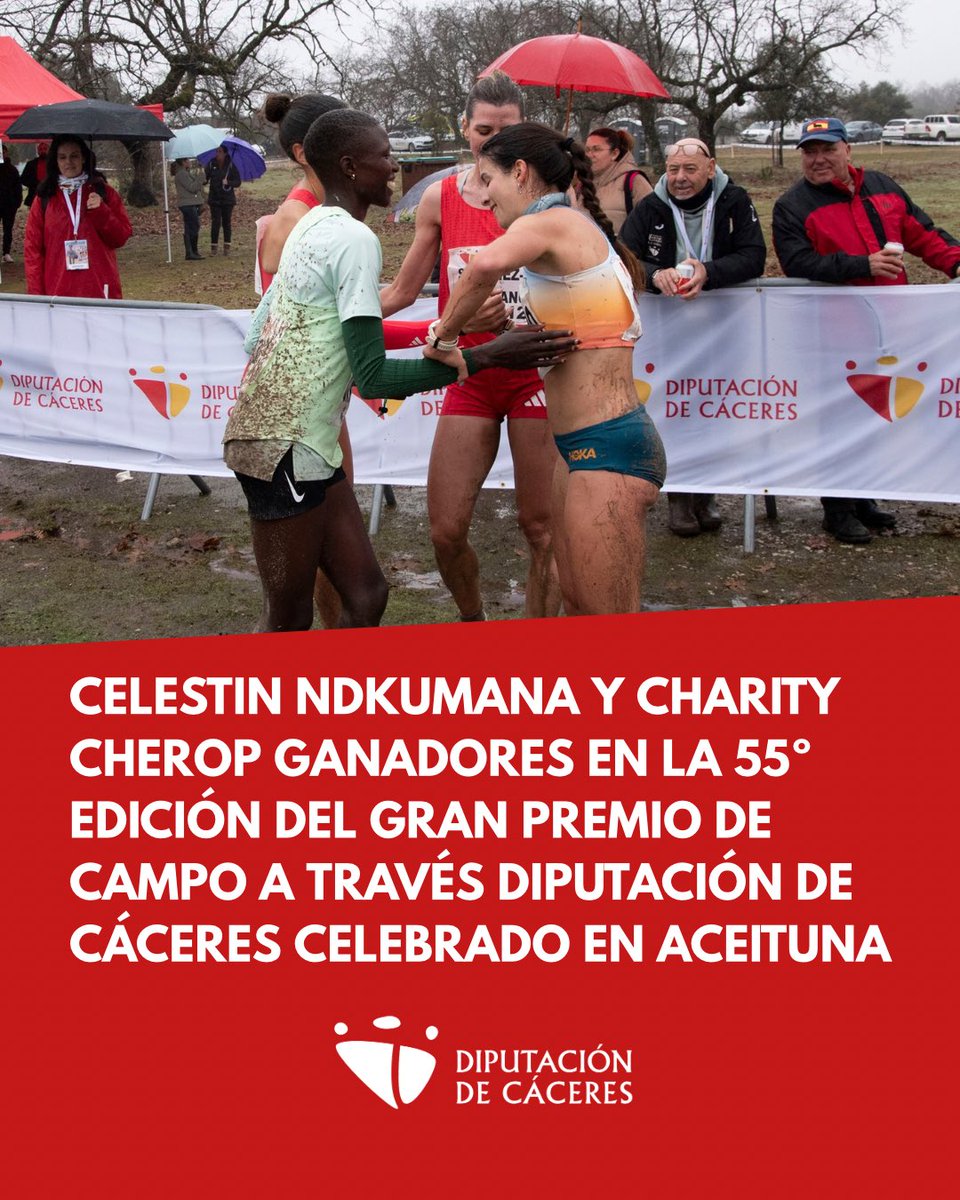 1️⃣ Aceituna y el entorno de El Robledal acogieron la 55ª edición del Gran Premio de Campo a Través Diputación de Cáceres, la prueba más longeva de la Diputación, con 700 atletas en competición. 🏃‍♂️🏃‍♀️