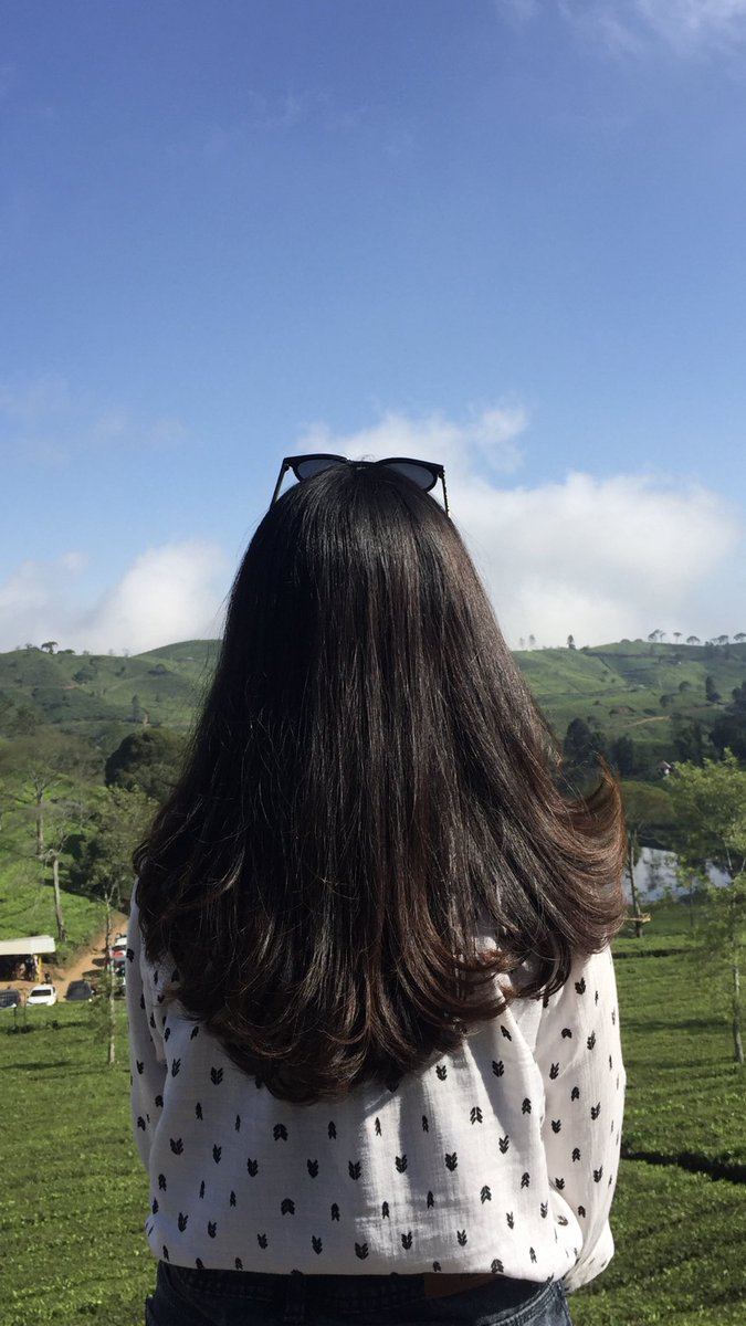 jurnal jenny tweet media