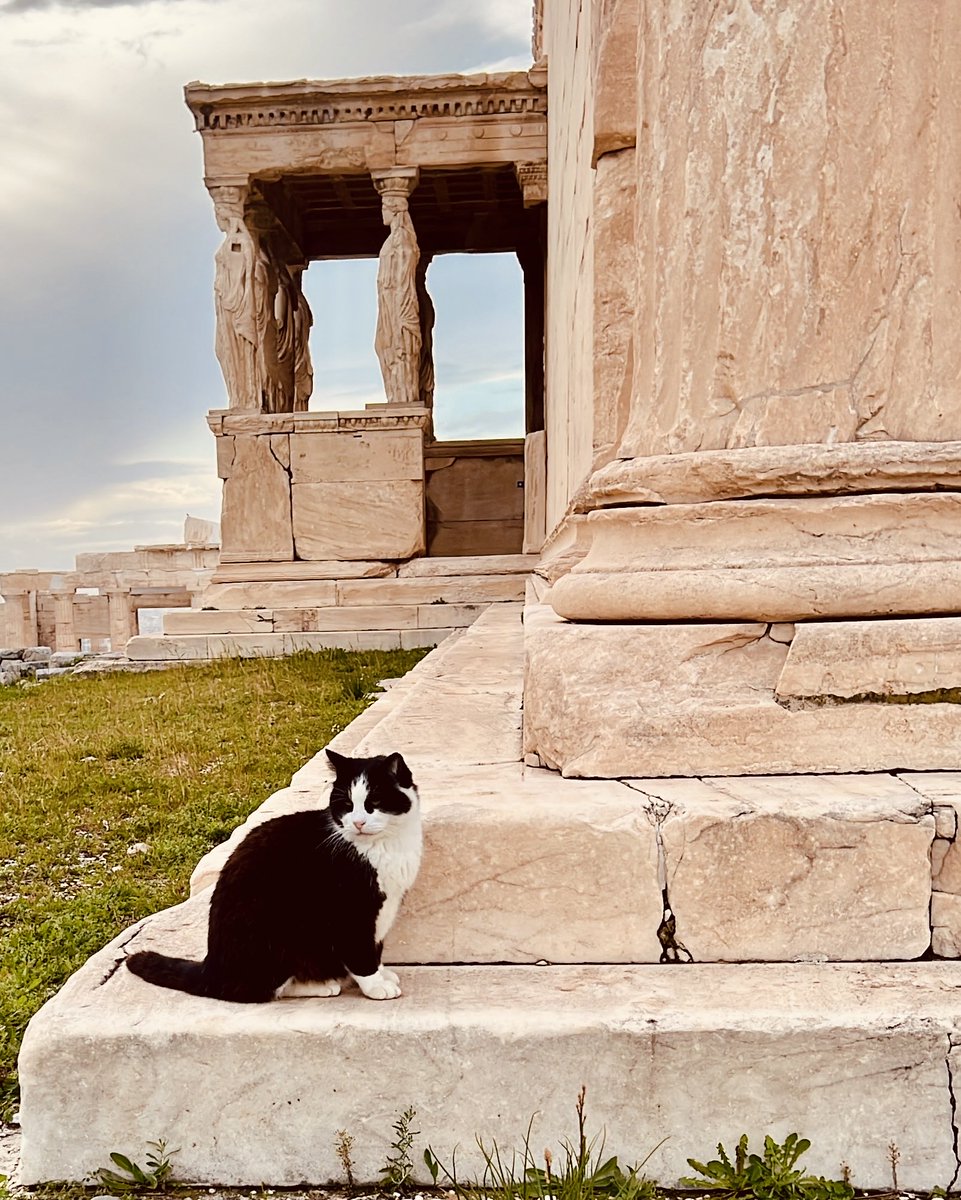 Ϫⲉⲙⲛⲟⲩϯ -🇬🇷 “Priest of Plato” tweet media