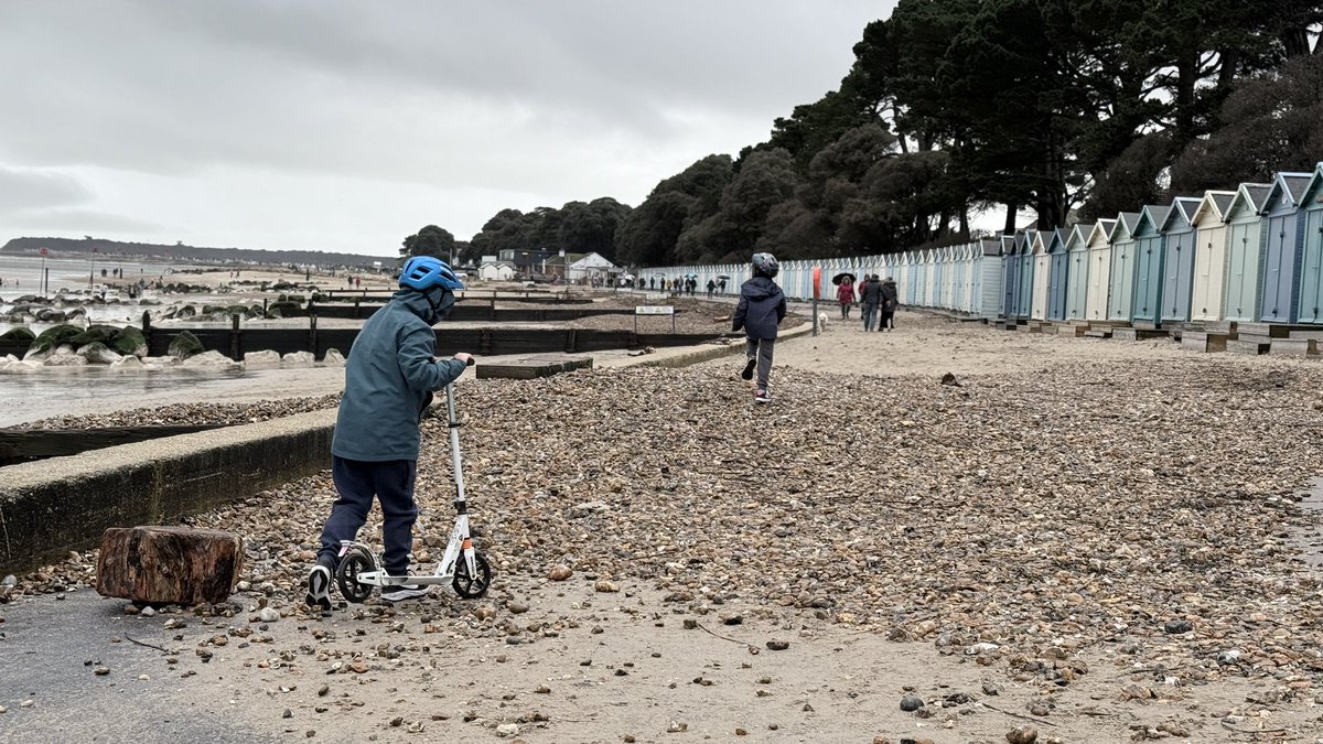 Roy Martin tweet media