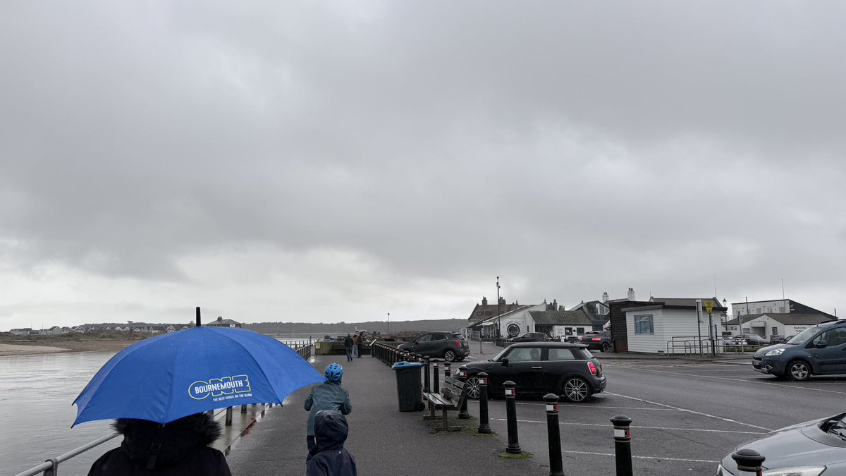 Roy Martin tweet media