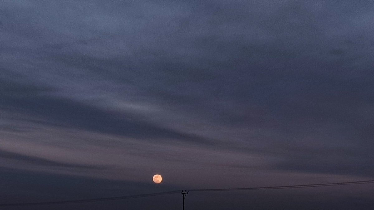 ذُوقـــان (@epicureius) on Twitter photo 