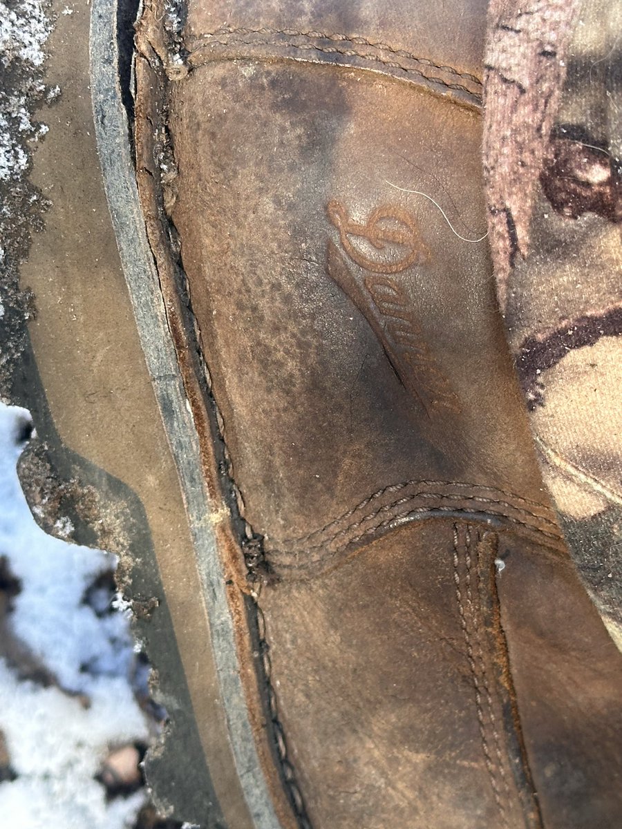 RossionQ1 tweet media