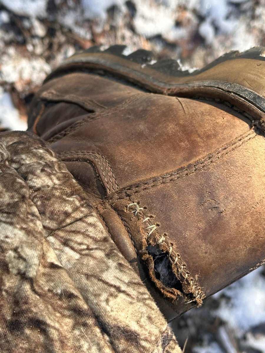 RossionQ1 tweet media