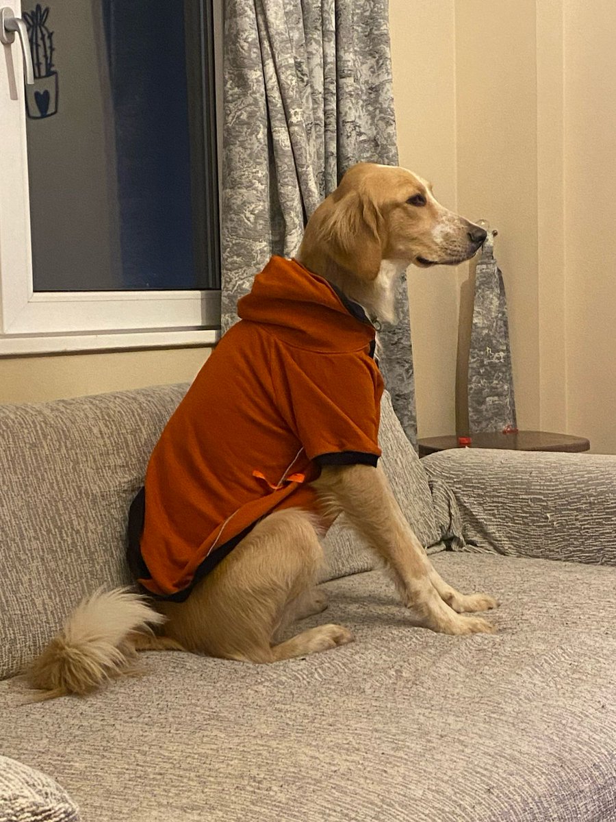 Neydi ne oldu köşemizde bugün Anita'nın koca danası Latte var çok çok güzel oldu bebem 😍🫠 

<a href="/tnrsmsk/">Mr. Latte</a> <a href="/AycaOzblgn/">Ayca Ozbilgin</a>