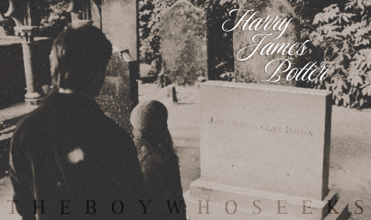 Harry Potter tweet media