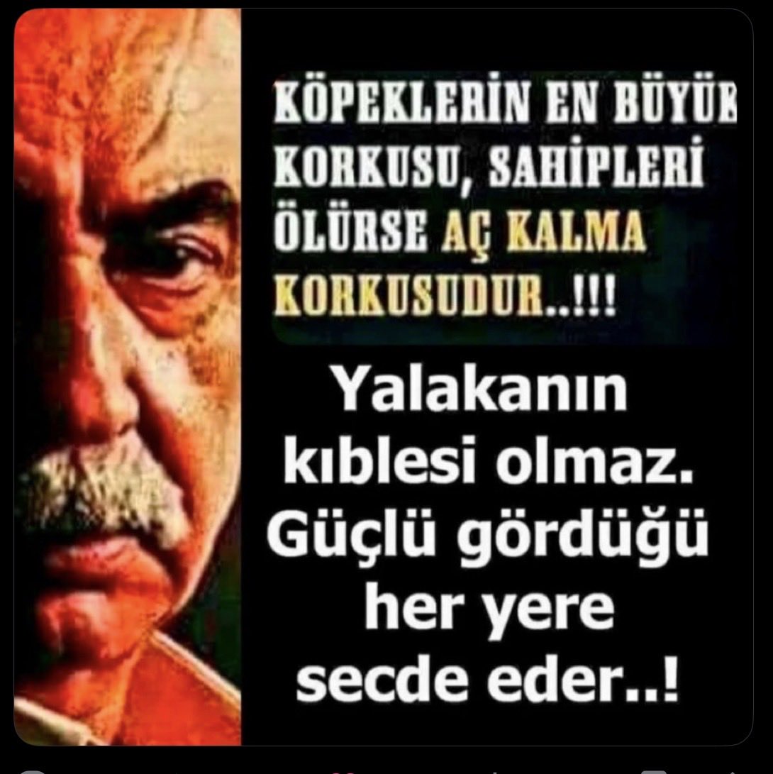 <a href="/sokakkedisitv/">Sokak Kedisi</a>