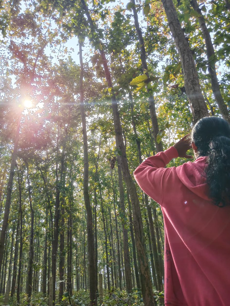 PRITINANDA PALAI tweet media