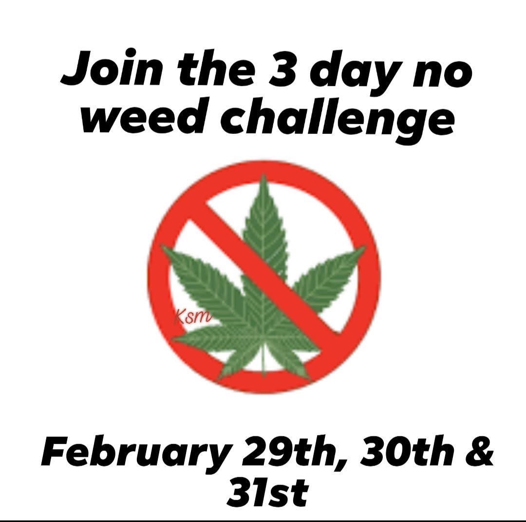 HighAssThinking's tweet image. Who’s down?