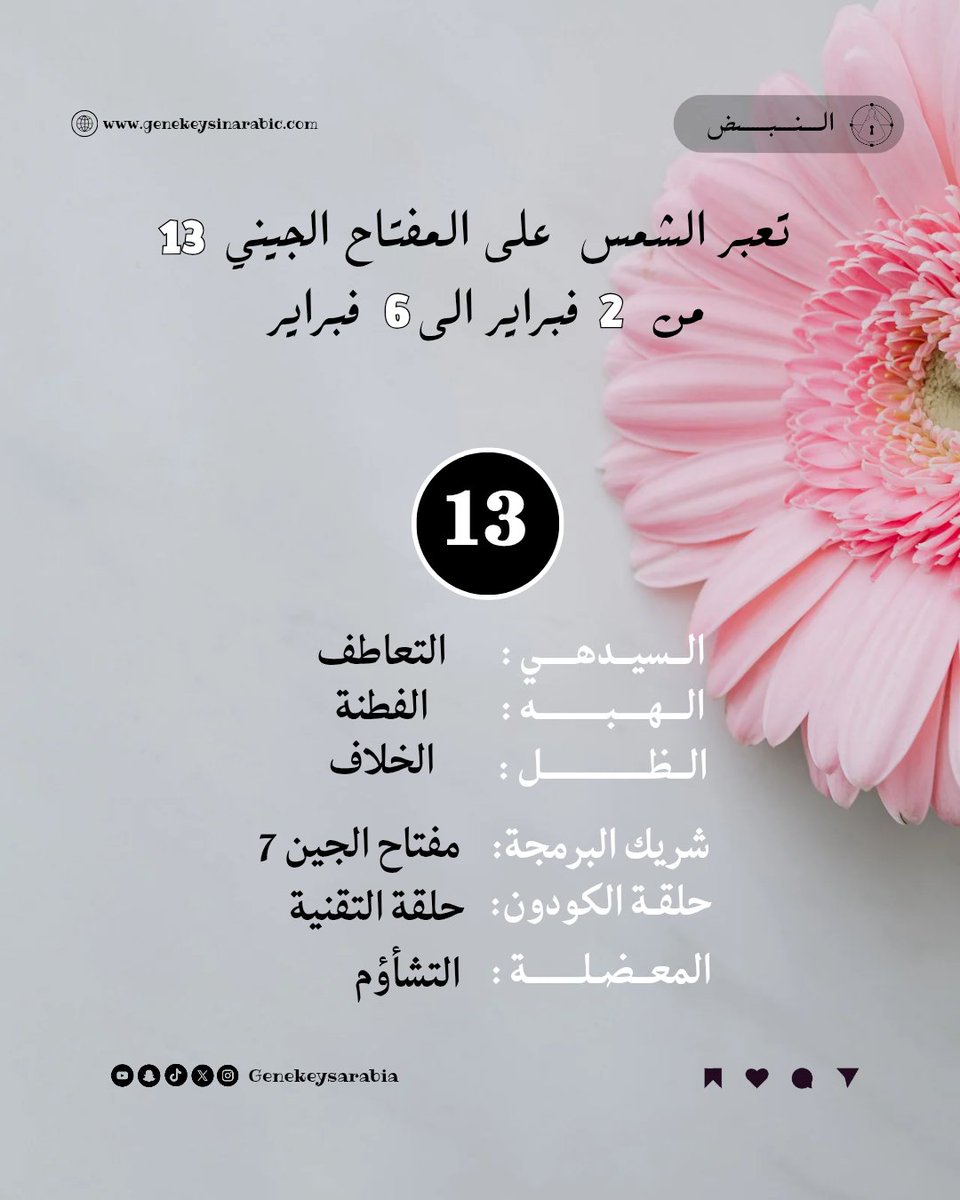 تَعبُر الشمس على المفتاح الجيني 13
من 2 فبراير إلى 6 فبراير

 * السيدهي: التعاطف
 * الهبة: الفطنة
 * الظل: الخلاف
 * شريك البرمجة: مفتاح الجين 7
 * حلقة الكودون: حلقة التقنية
 * المعضلة: التشاؤم

.