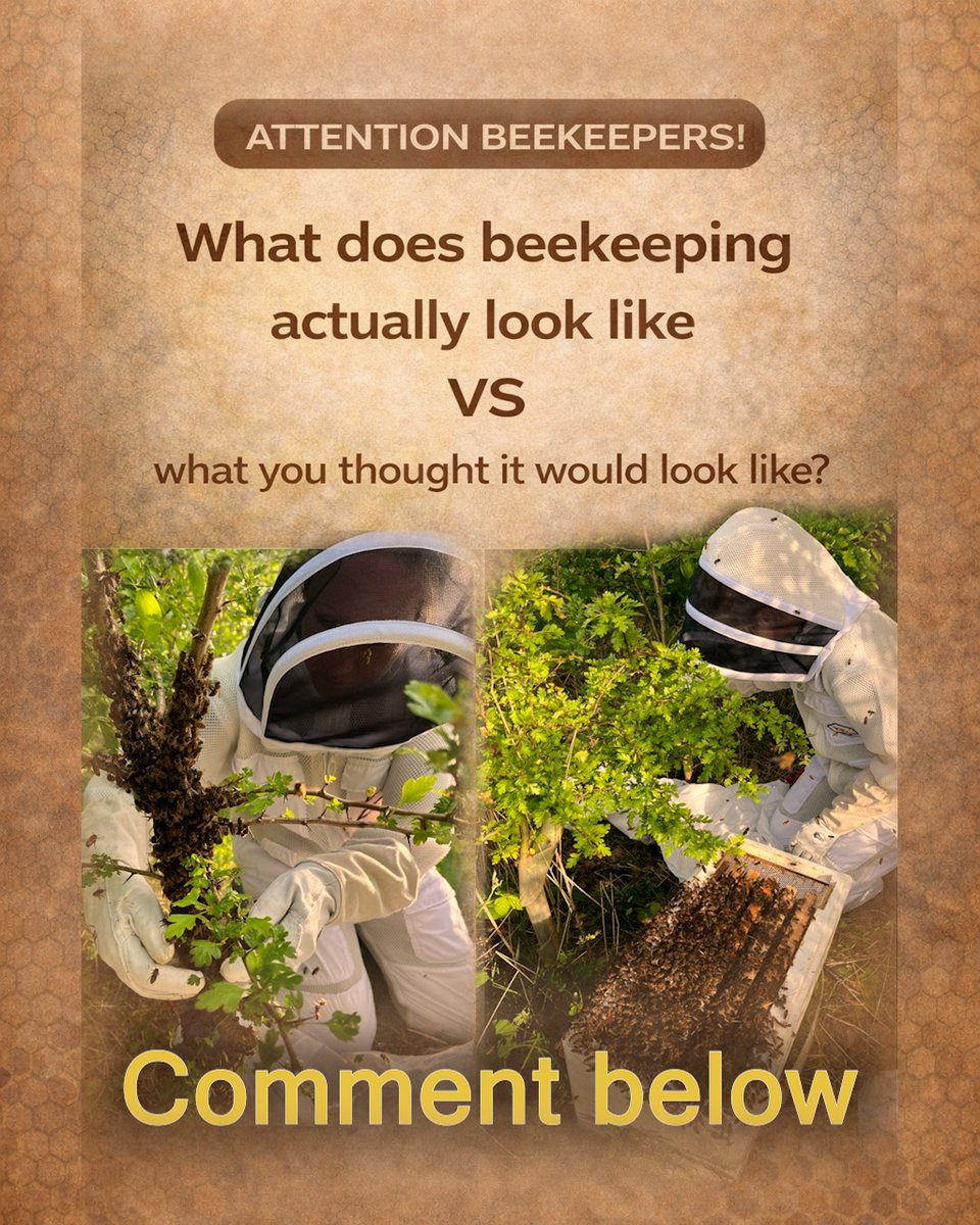 Expectation vs reality 🐝
Drop your reality checks below 👇

#Beekeeping #Beekeepers
#ExpectationVsReality