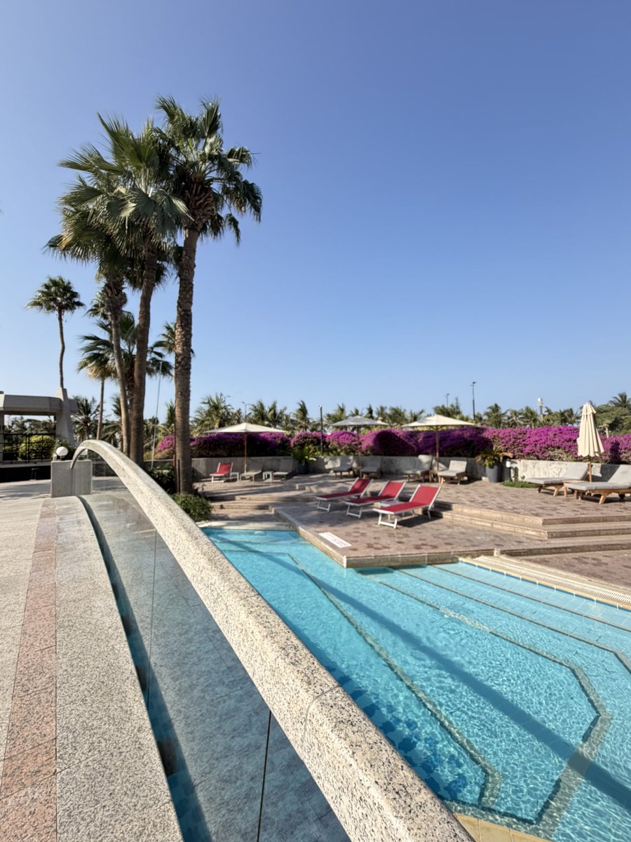 سَاره بَغدادي.. tweet media