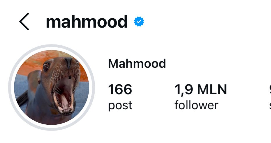 due giorni di sondaggio e poi