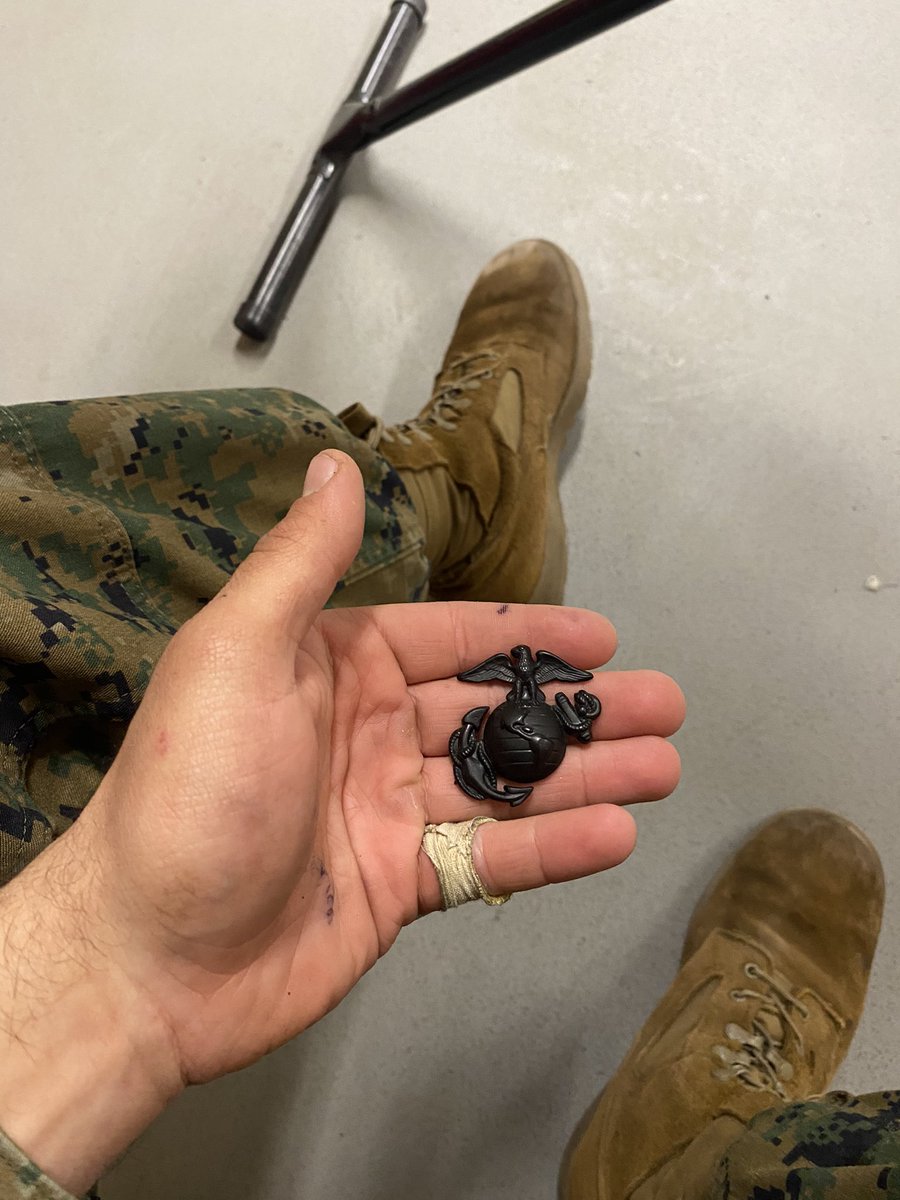 TacDexx 🇺🇸🐾 tweet media