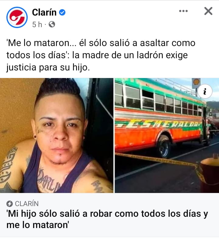 Pobre angelito solo salió a robar como todos los días 🕊🐀