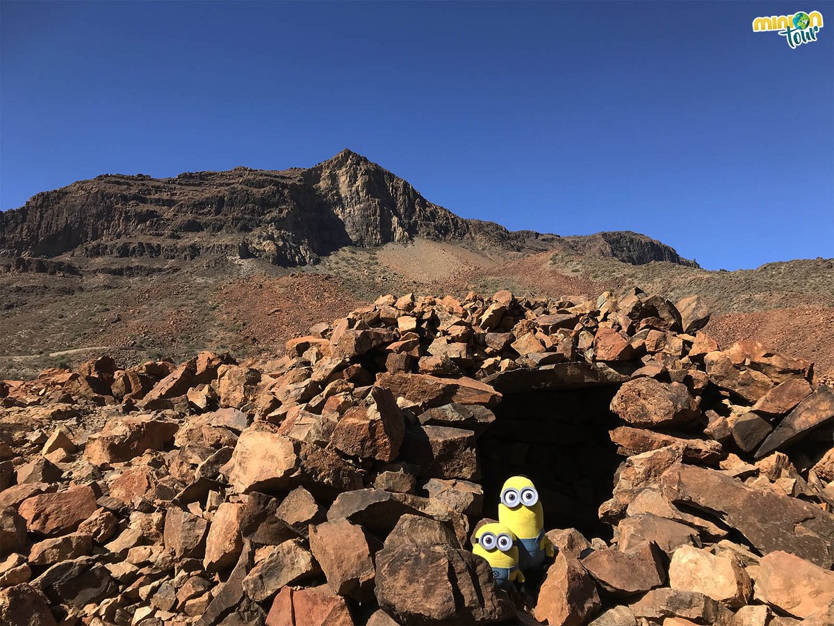 MiniOnTourES's tweet photo. El #YacimientoArqueológico de la #Necrópolis de #Arteara 💀 está catalogado con la máxima categoría que el estado español atribuye a unos restos arqueológicos 🔝. Y es así de chulo
👉 https://t.co/lq5E4VtfJL
@turismogc @GranCanariaCab @GranCanariaTur @Maspalomas @AytoSBT https://t.co/6aXU8ltMGx