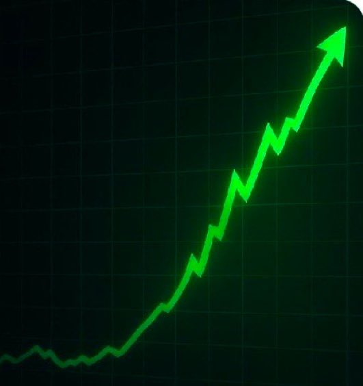 WHALE 🐳 EVERYTHING tweet media