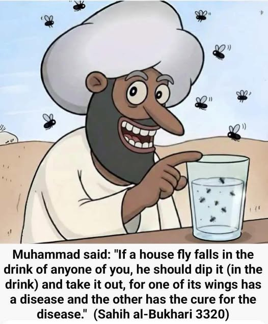 Islam’s most authentic hadith collection, Sahih al-Bukhari (Hadith 3320), records Muhammad saying: if a house fly falls into your drink, dip it fully in and then remove it, because one wing carries disease and the other carries the cure.

This is not divine wisdom; it is