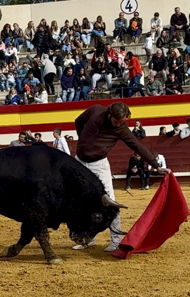 El maestro Espartaco cuenta en una entrevista que una vez D.Pablo Lozano le dijo: “Imagina entrar a un incendio a ciegas. ¿Da miedo, no?. ¿Pero a que ese miedo no sería mismo si tuvieras los planos de la casa?”

Esa es una parte de mi búsqueda durante todo este tiempo…