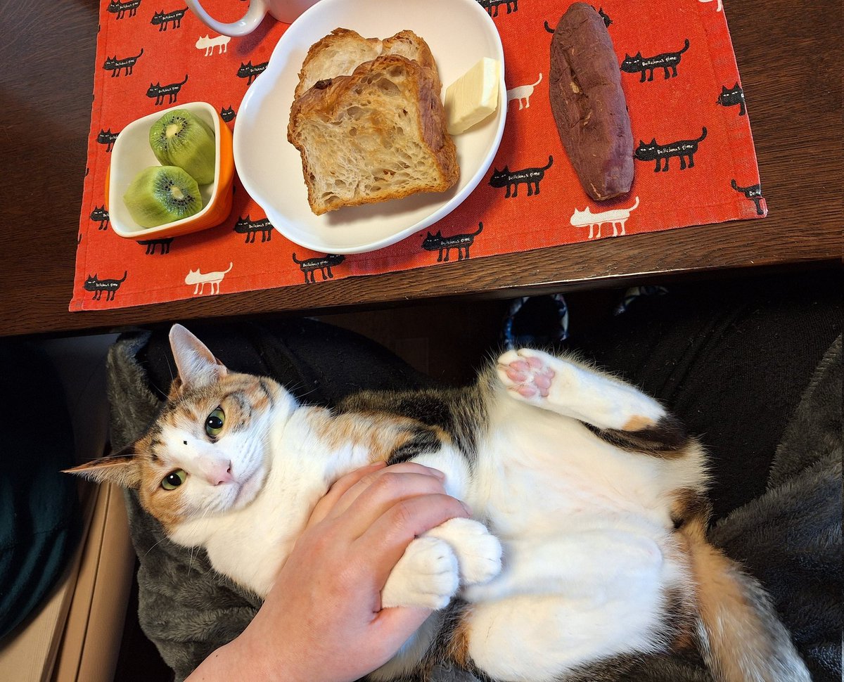 デニッシュパンと焼きいもキウイたべました