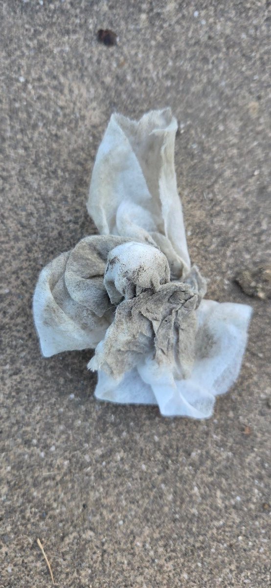 yattyaee's tweet image. 嬉野温泉公園の水野愛ちゃん
マンホール掃除した

道具はマンホールに配慮し
ノンアルコールウェットティッシュと固くないブラシを使用
思ったより汚れていた

#ゾンビランドサガ
#CleanFace