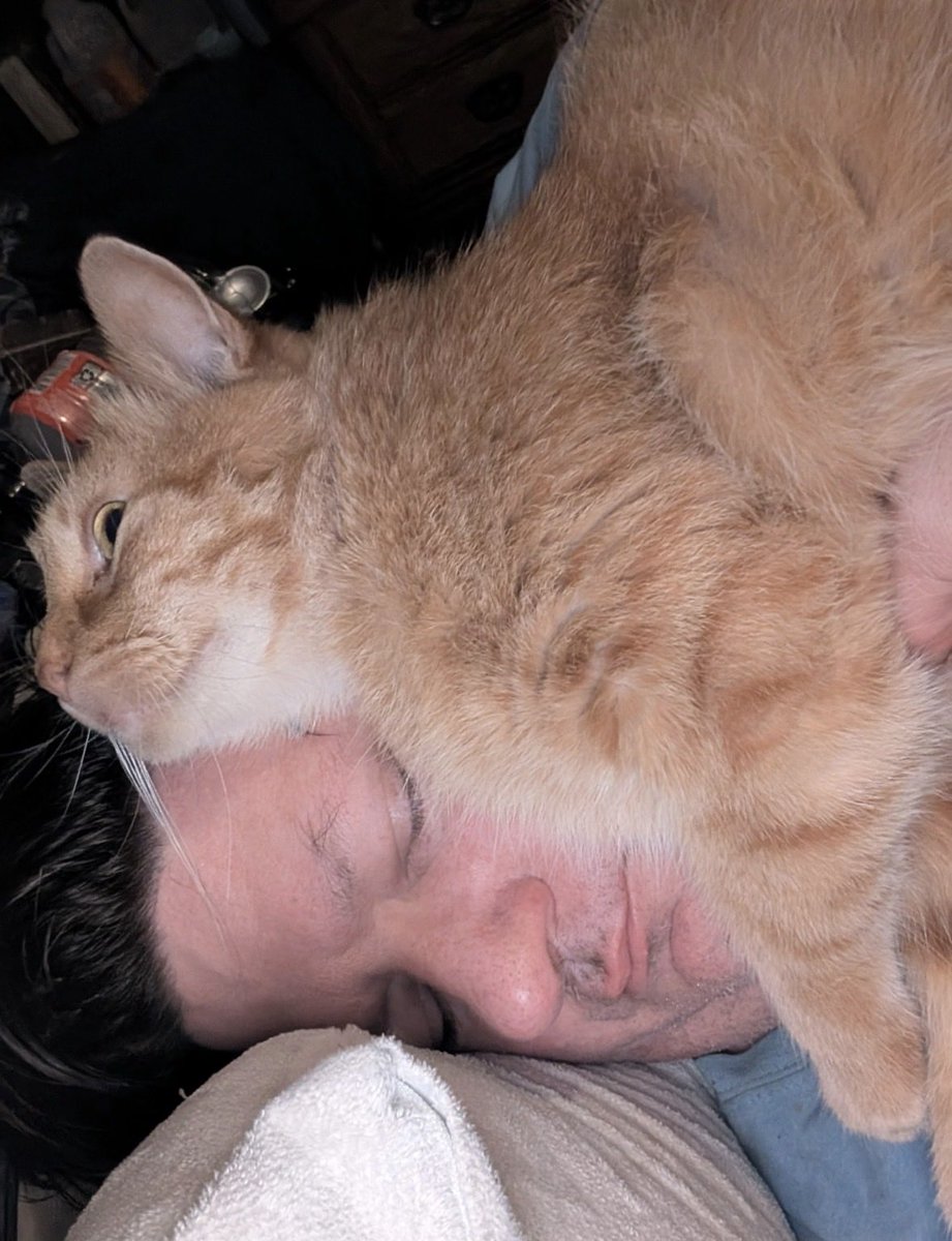 I will rest wherever I choose to, and you will suffer and endure it because you can’t resist me.