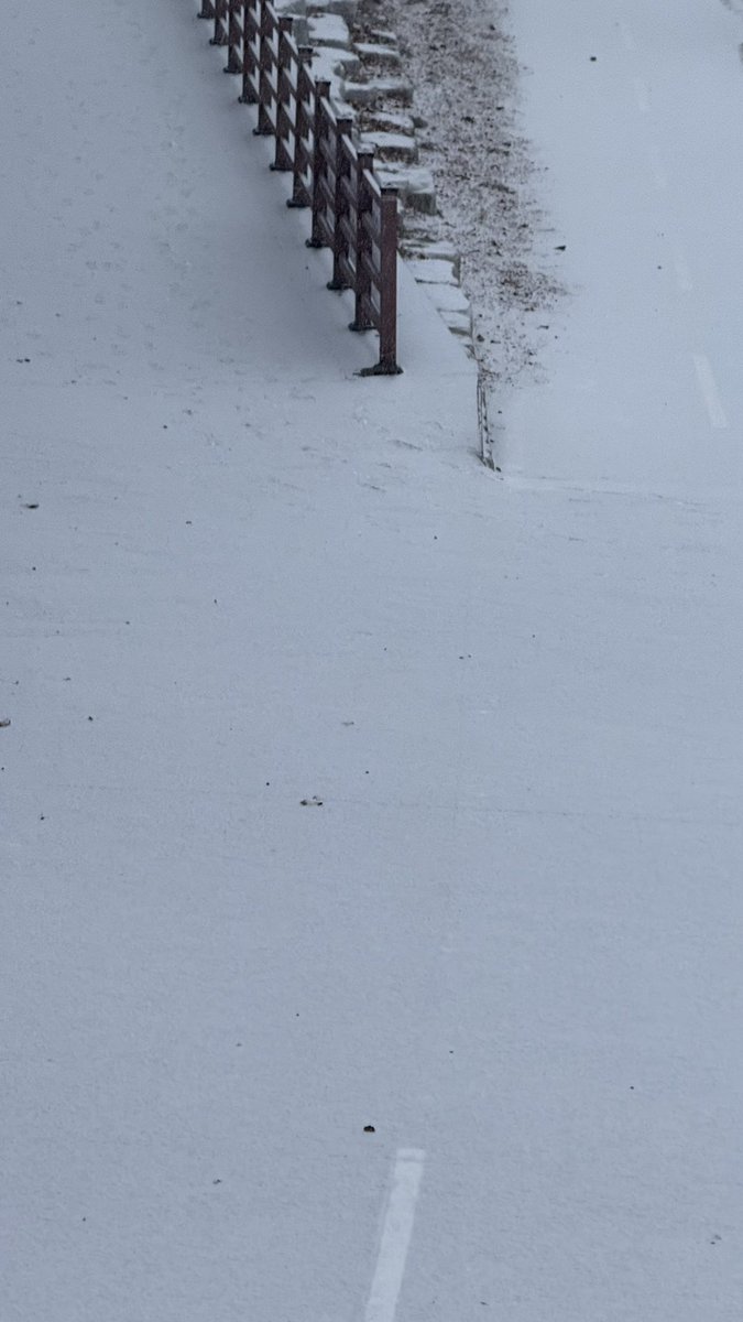 와 진짜 첫 눈 !!!!!!!!!! ⛄️