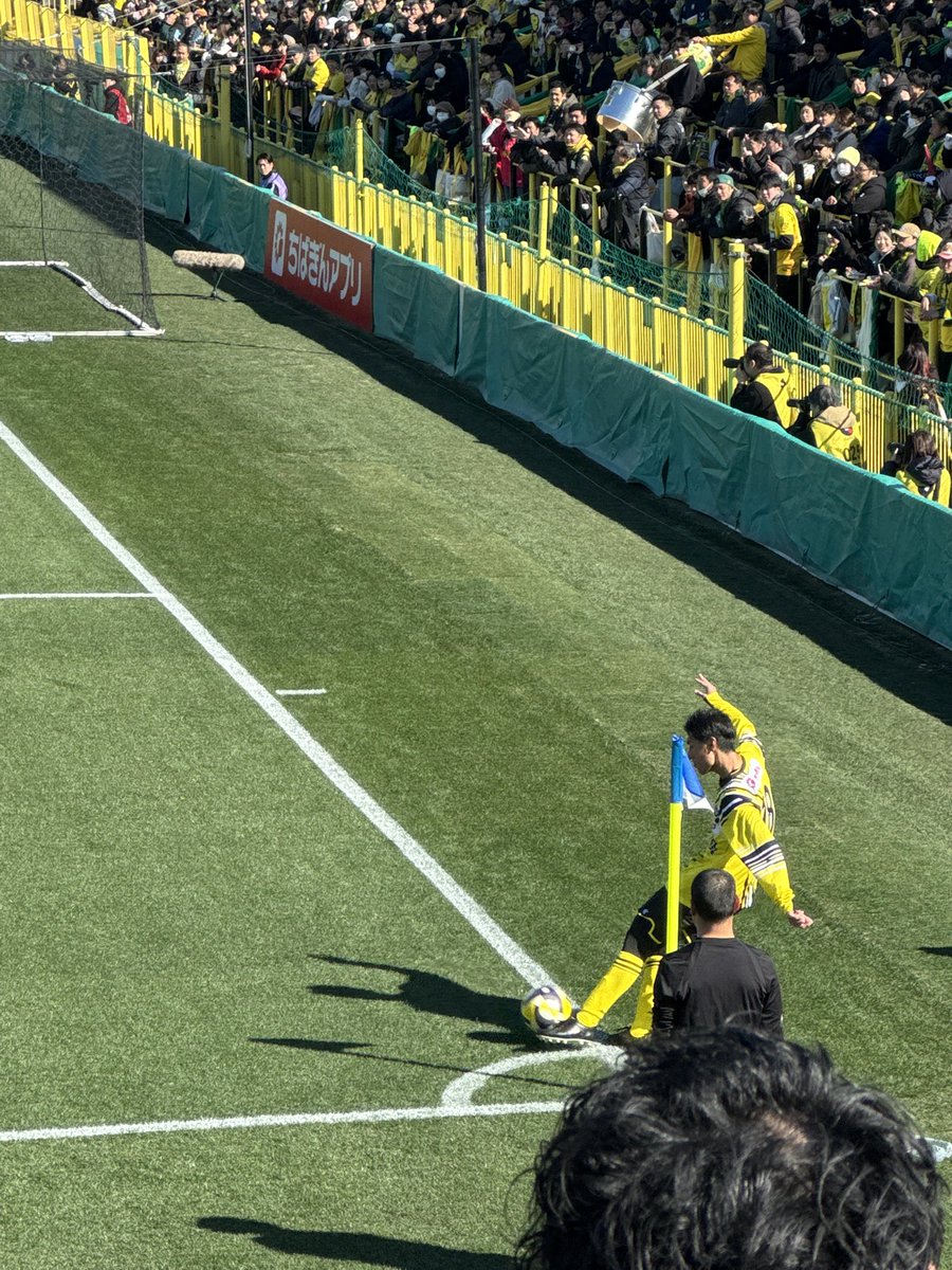 ありがとうございます！！