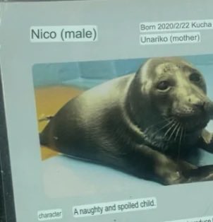 a NAUGHTY and SPOILED child. At least hes cute