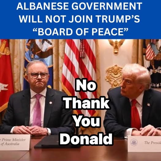 TonyShepherd4's tweet image. 