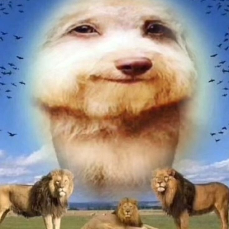 𝗴𝗶𝗼𝘁𝗼𝗻𝗶𝗻𝗮 𖡎 tweet media