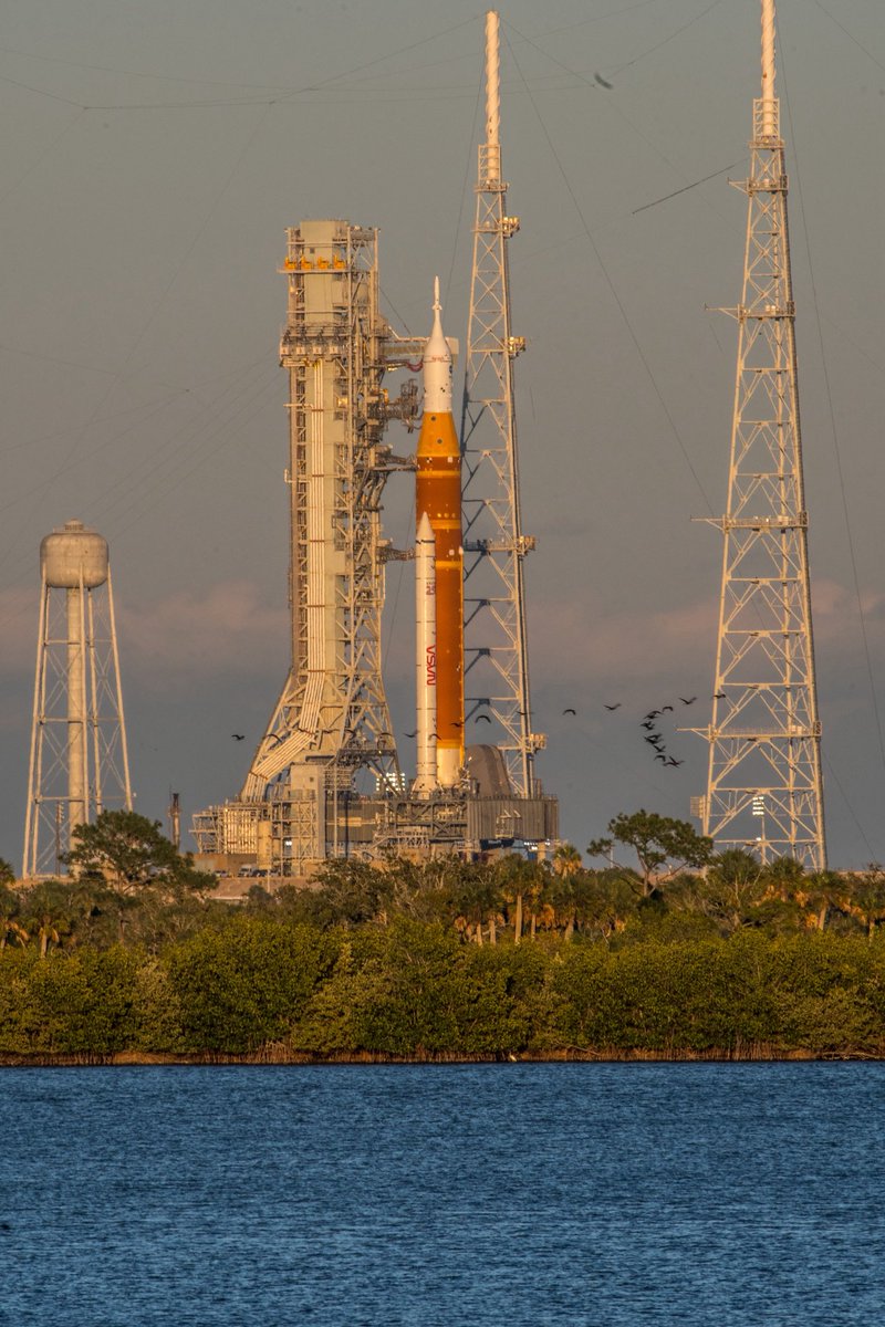 Astronaut_87's tweet image. Oh Hi SLS! 

#Artemis #SLS #NASA #NASAMoonCrew 

📸 Me for @WeAreSpaceScout