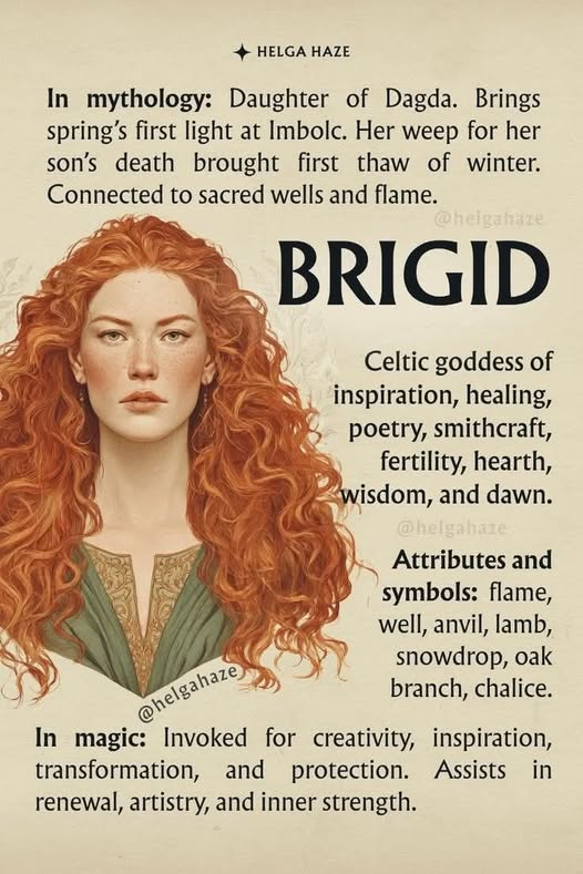 SubRosaMagick's tweet photo. Visit my #Etsyshop
Psychic Readings, Books, Vintage &amp; more!
https://t.co/30hRCTs1vo
#wicca #witchcraft #witchtwt #witchtwtpl #witchesoftwitter #magick #Occult #witchlifestyle #witches #seasonofthewitch #witchtwitter #witchythings #Pagan #BlessedBe #Imbolc https://t.co/RnMRqt9Sv2
