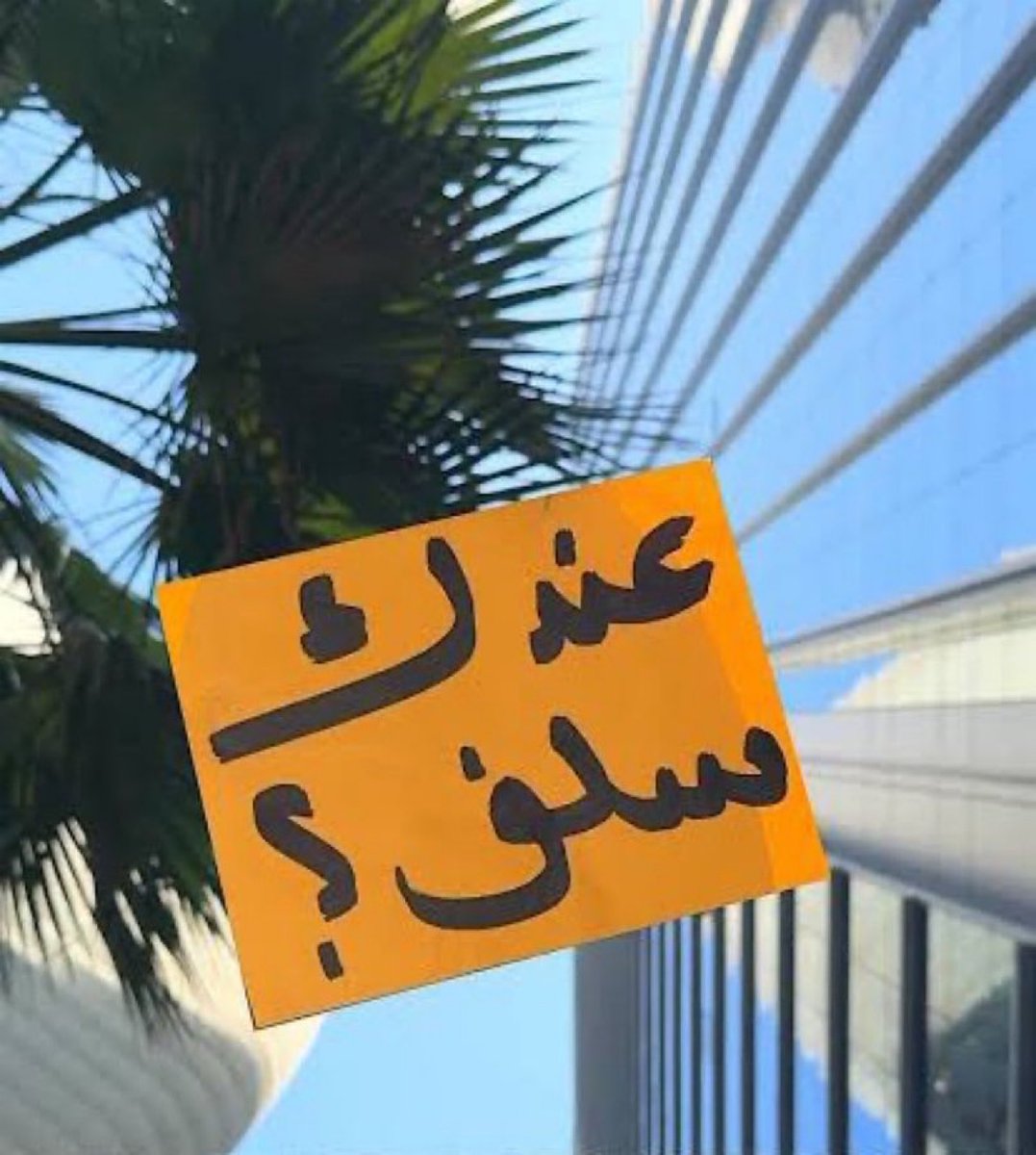 ‏محمد 🇰🇼 tweet media