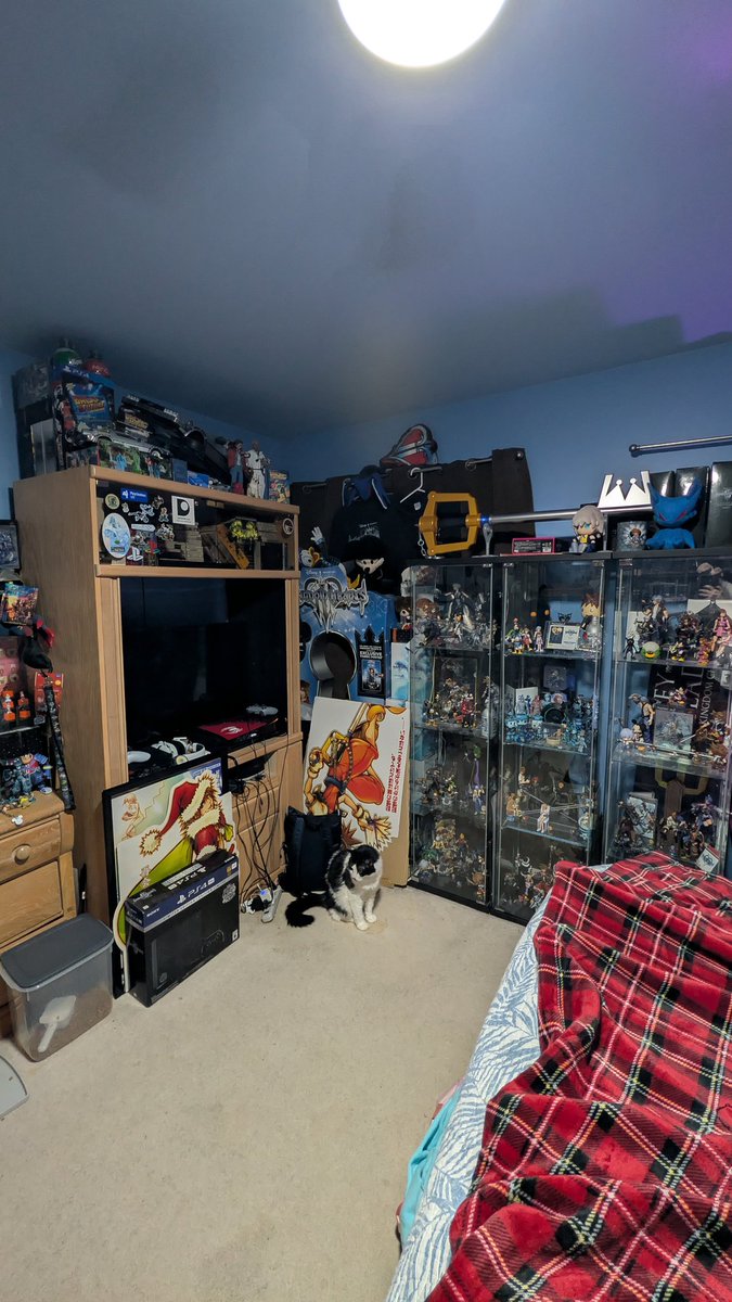 It feels weird seeing this section as empty as it is, and I haven't even scratched the surface of putting stuff away yet