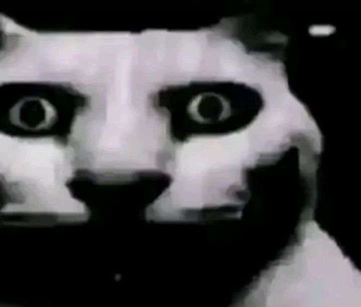 Madre Cangrejo tweet media