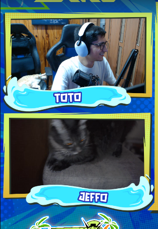 michi stream 😺