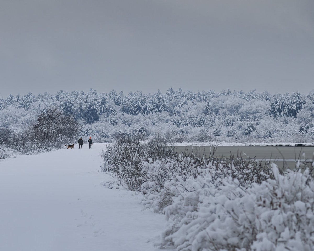 Winter Walk

 #photography #naturephotography #landscapephotography #omsystem #nature #winter #snowscape