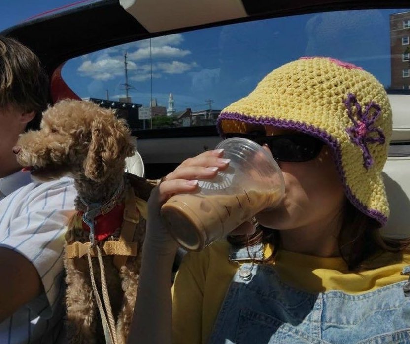 trevspengIer's tweet image. Why do their pets kinda give off the same vibes as them